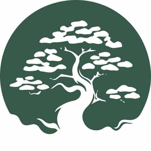 Satori Recovery Addiction Rehab Center