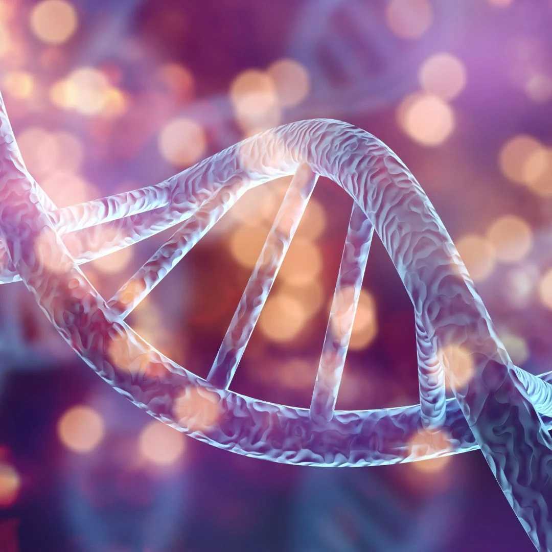 Longevity Tourism & Regenerative Medicine: The New Era of Global Health Travel